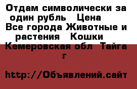 Отдам символически за один рубль › Цена ­ 1 - Все города Животные и растения » Кошки   . Кемеровская обл.,Тайга г.